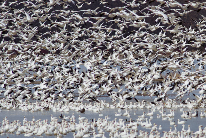 1/1600 sec at f / 6.3