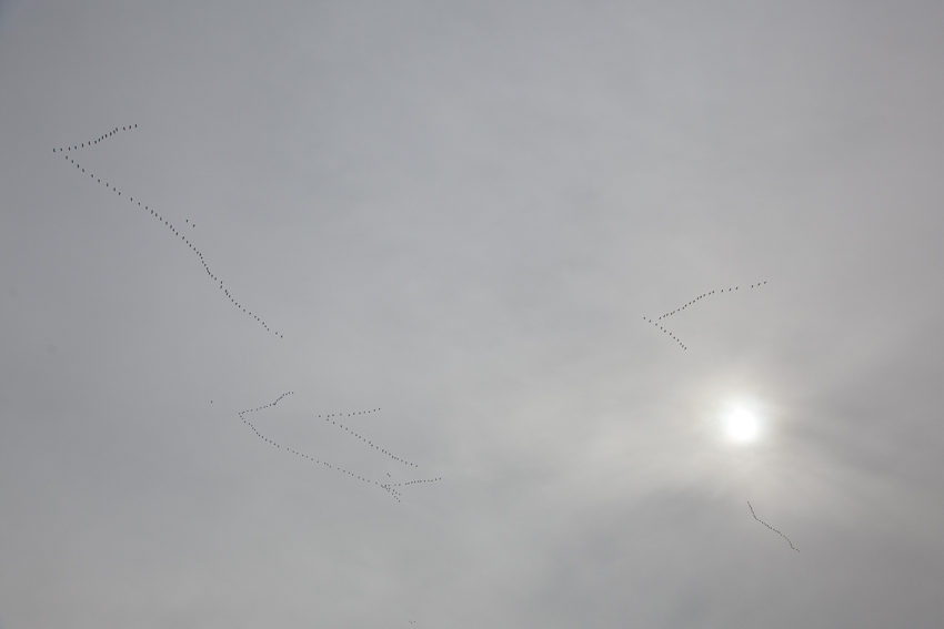 1/2500 sec at f / 5.6