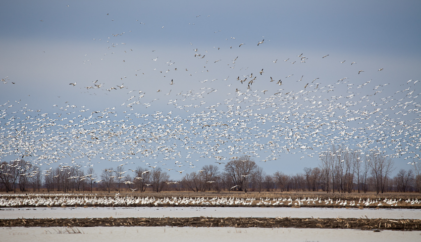 1/1250 sec at f / 5.6