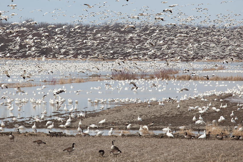 1/1600 sec at f / 5.6
