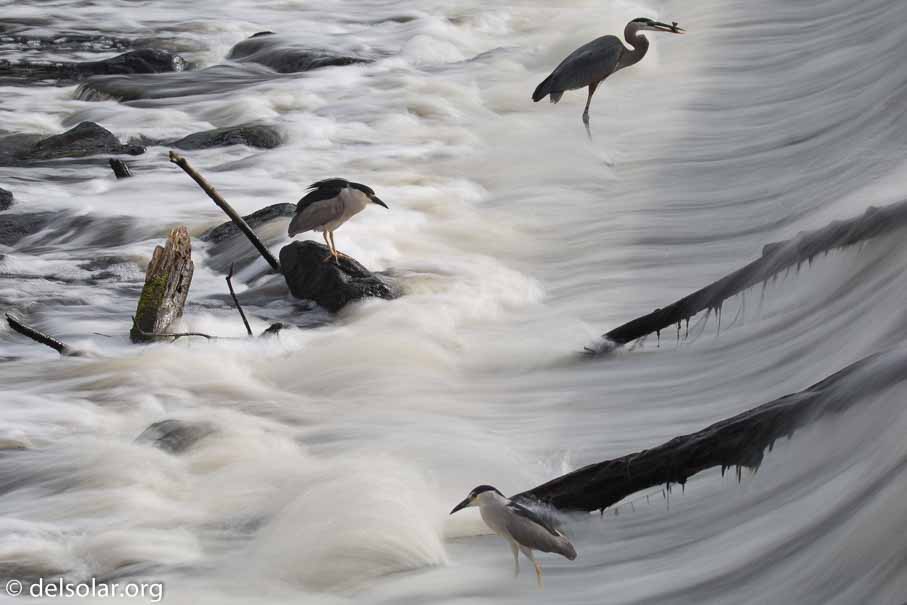 Canon EOS 5D Mark III  --  156 mm  --  EF100-400mm f/4.5-5.6L IS II USM +1.4x III  