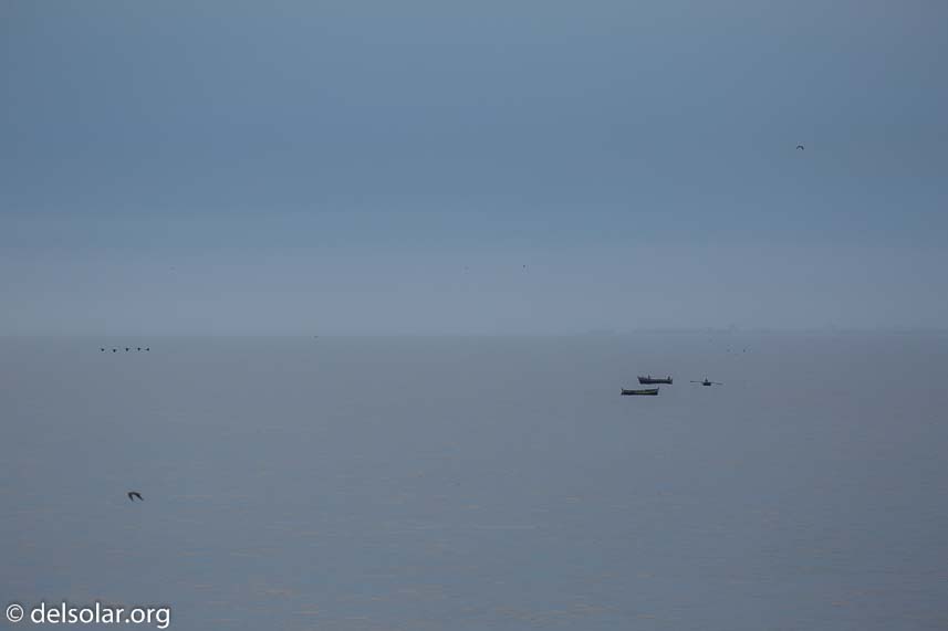 Canon EOS 5D Mark III  --  248 mm  --  EF100-400mm f/4.5-5.6L IS II USM  