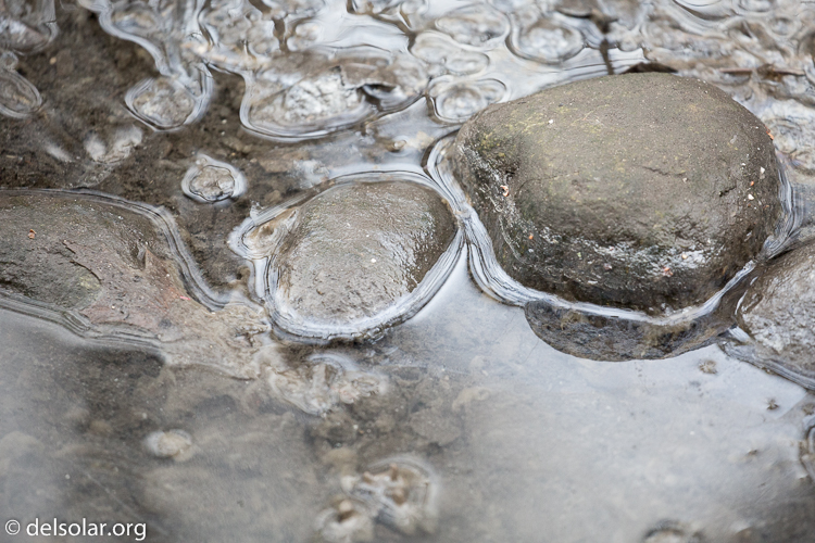 Canon EOS 5D Mark III  --  400 mm  --  EF100-400mm f/4.5-5.6L IS II USM  