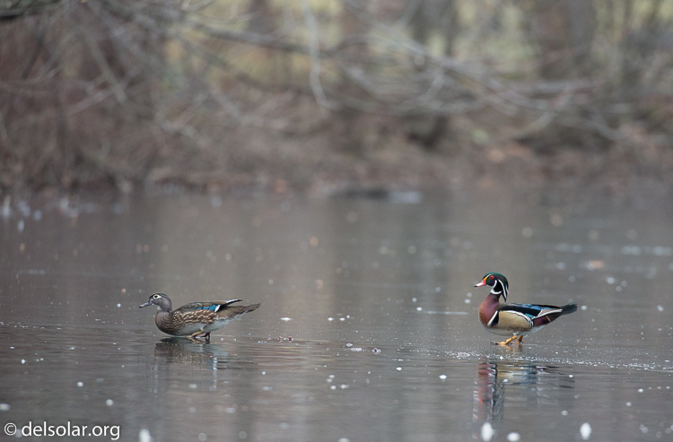 Canon EOS 5D Mark III  --  371 mm  --  EF100-400mm f/4.5-5.6L IS II USM  