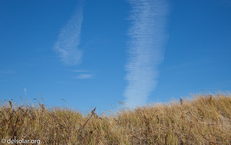 Canon EOS 5D Mark II  --  45 mm  --  EF24-105mm f/4L IS USM  