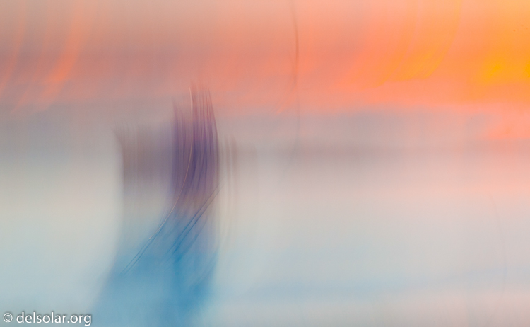 Canon EOS 5D Mark II  --  81 mm  --  EF70-200mm f/4L USM  