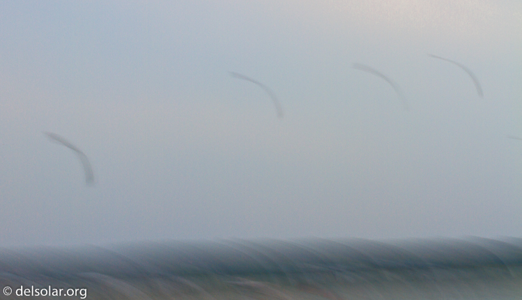 Canon EOS 7D  --  70 mm  --  EF70-200mm f/4L USM  