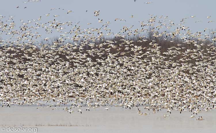 Canon EOS 7D  --  400 mm  --  EF400mm f/5.6L USM  