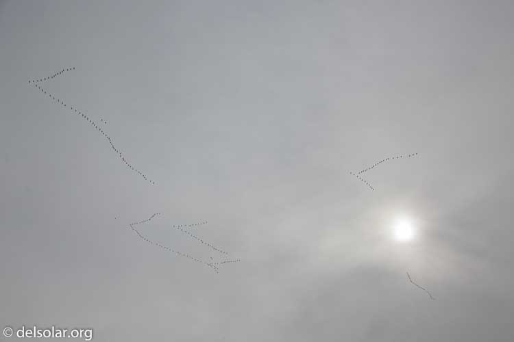 Canon EOS 5D Mark II  --  32 mm  --  EF24-105mm f/4L IS USM  