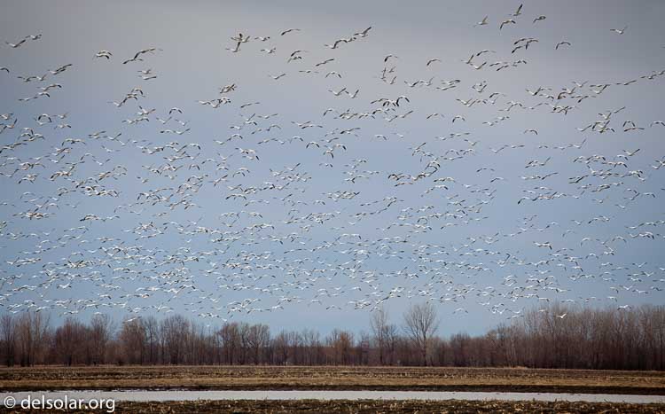 Canon EOS 5D Mark II  --  200 mm  --  EF70-200mm f/4L USM  