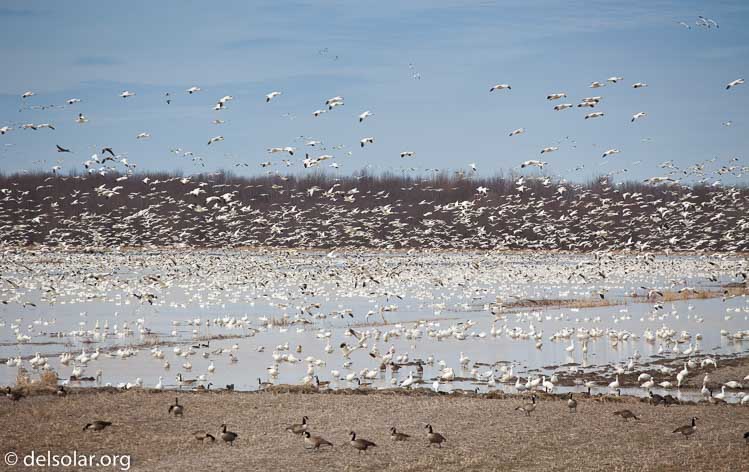 Canon EOS 5D Mark II  --  200 mm  --  EF70-200mm f/4L USM  