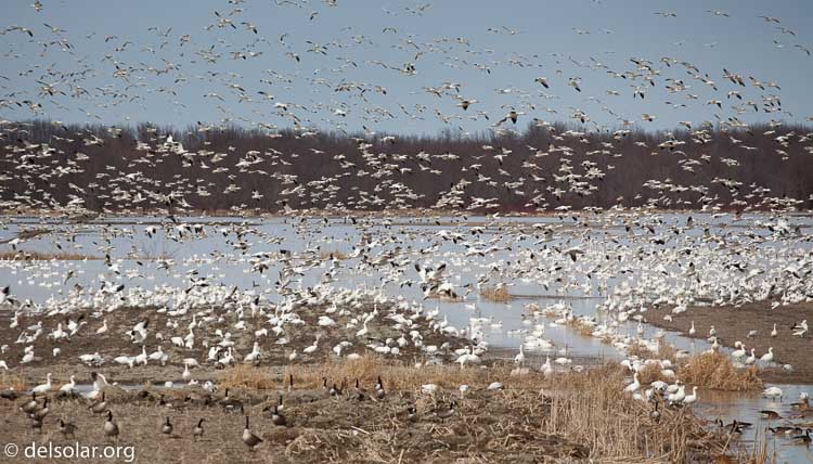 Canon EOS 5D Mark II  --  200 mm  --  EF70-200mm f/4L USM  