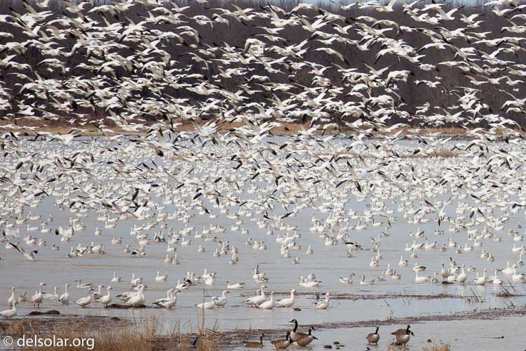 Canon EOS 5D Mark II  --  172 mm  --  EF70-200mm f/4L USM  