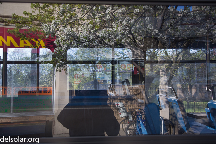 Canon EOS 5D Mark III  --  35 mm  --  EF24-105mm f/4L IS USM  