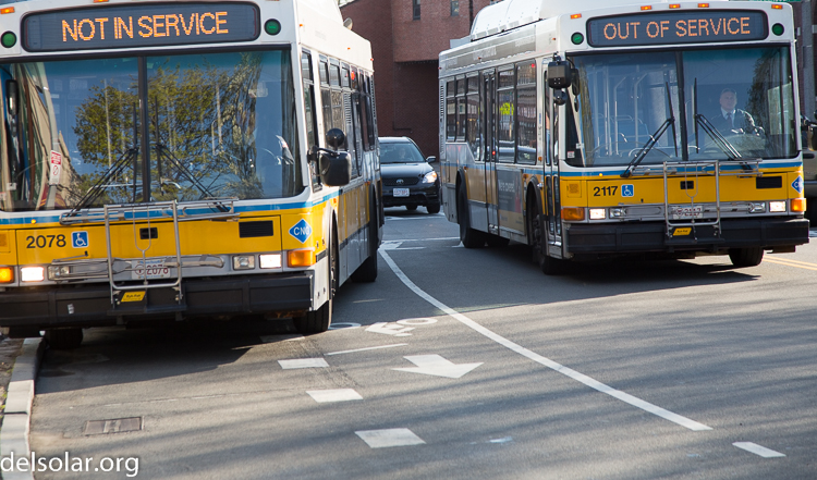 Canon EOS 5D Mark III  --  105 mm  --  EF24-105mm f/4L IS USM  