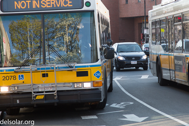 Canon EOS 5D Mark III  --  105 mm  --  EF24-105mm f/4L IS USM  