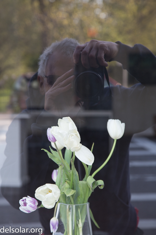 Canon EOS 5D Mark III  --  96 mm  --  EF24-105mm f/4L IS USM  