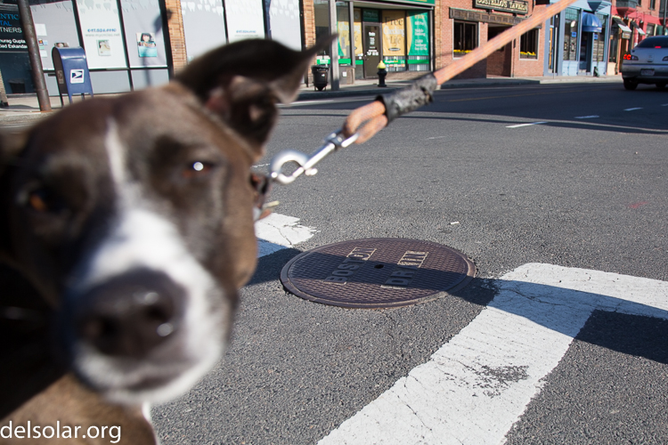 Canon EOS 5D Mark III  --  24 mm  --  EF24-105mm f/4L IS USM  