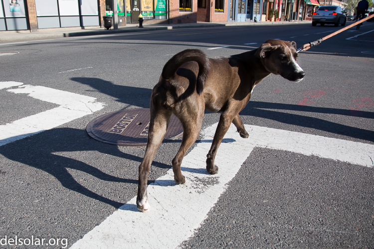 Canon EOS 5D Mark III  --  24 mm  --  EF24-105mm f/4L IS USM  