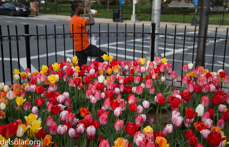 Canon EOS 5D Mark III  --  45 mm  --  EF24-105mm f/4L IS USM  