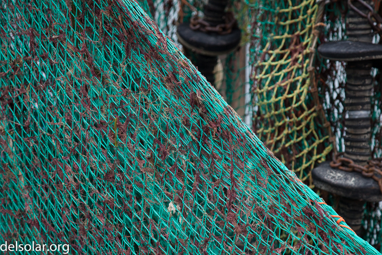 Canon EOS 5D Mark II  --  96 mm  --  EF24-105mm f/4L IS USM  