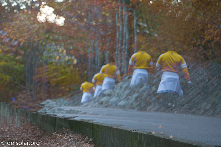 Canon EOS 5D Mark III  --  113 mm  --  EF70-200mm f/4L USM  