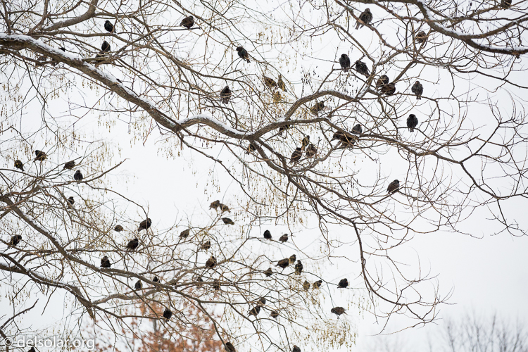 Canon EOS 5D Mark III  --  135 mm  --  EF70-200mm f/4L USM  