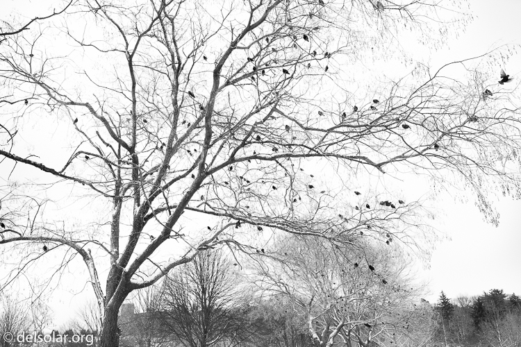 Canon EOS 5D Mark II  --  35 mm  --  35mm  