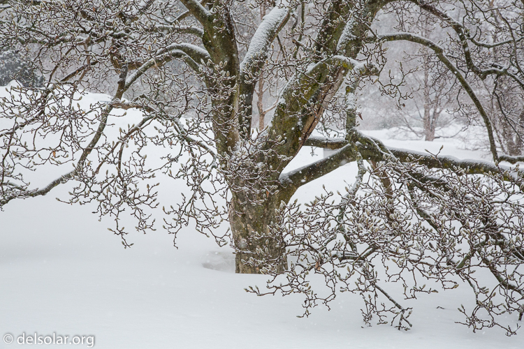 Canon EOS 5D Mark III  --  70 mm  --  EF24-105mm f/4L IS USM  