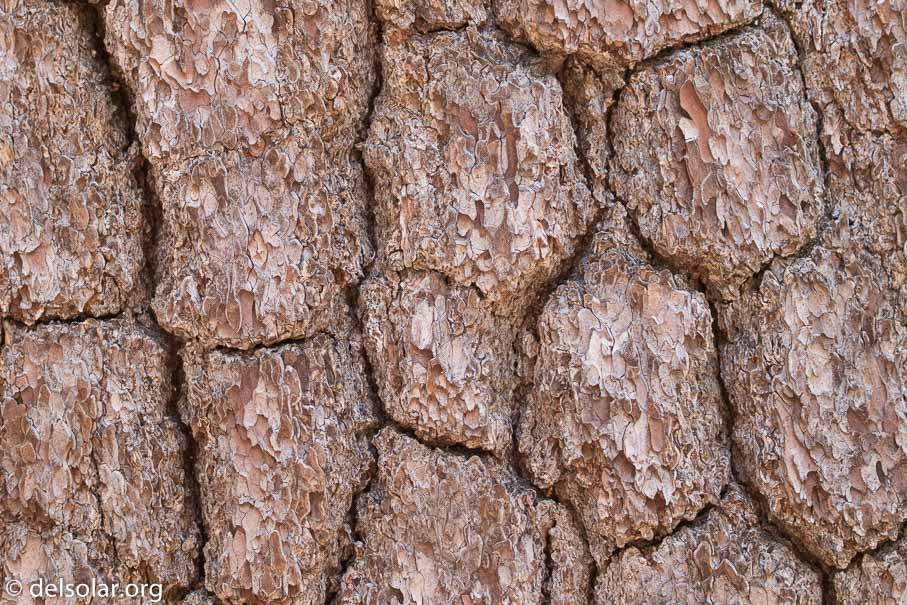 Canon EOS 7D Mark II  --  176 mm  --  EF100-400mm f/4.5-5.6L IS II USM  