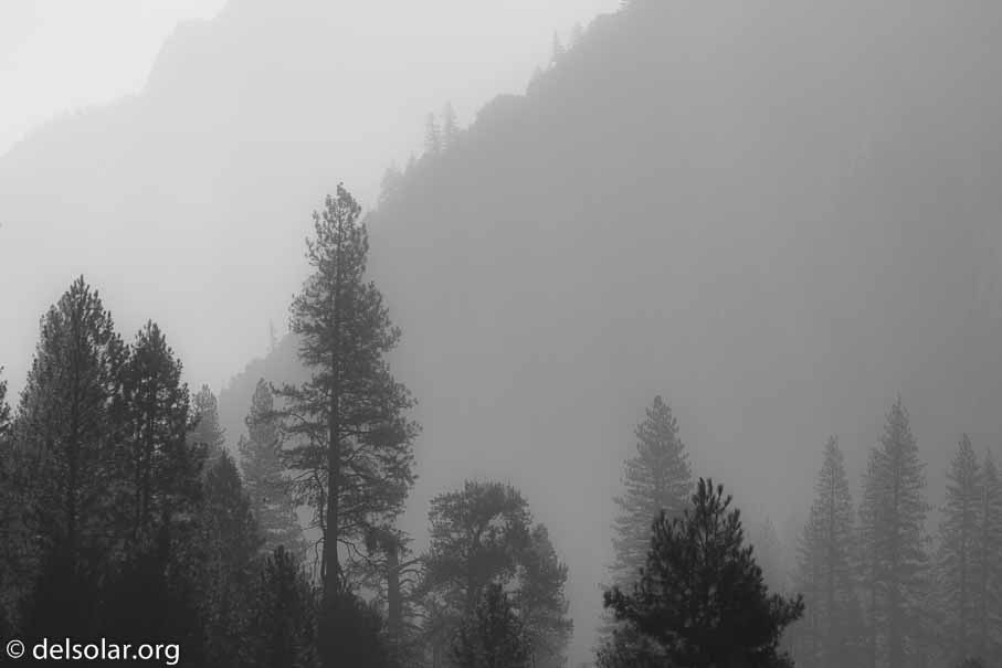 Canon EOS 5D Mark III  --  100 mm  --  EF100-400mm f/4.5-5.6L IS II USM  