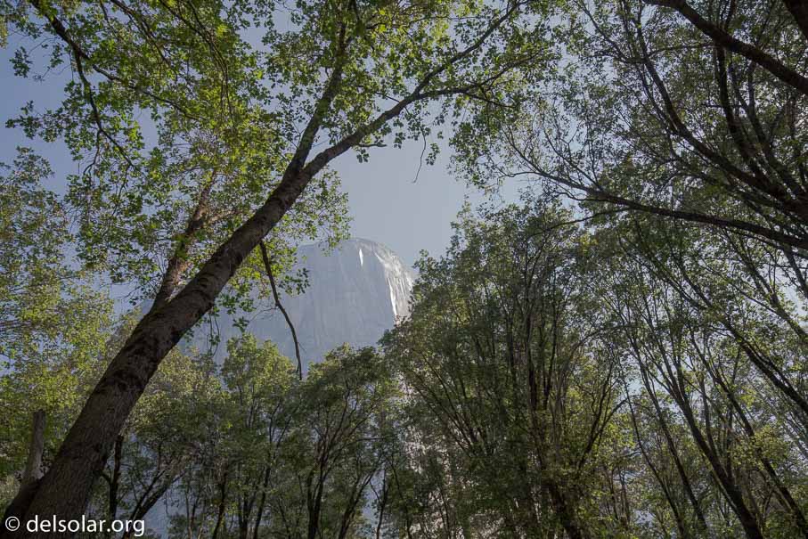 Canon EOS 5D Mark III  --  23 mm  --  EF16-35mm f/4L IS USM  