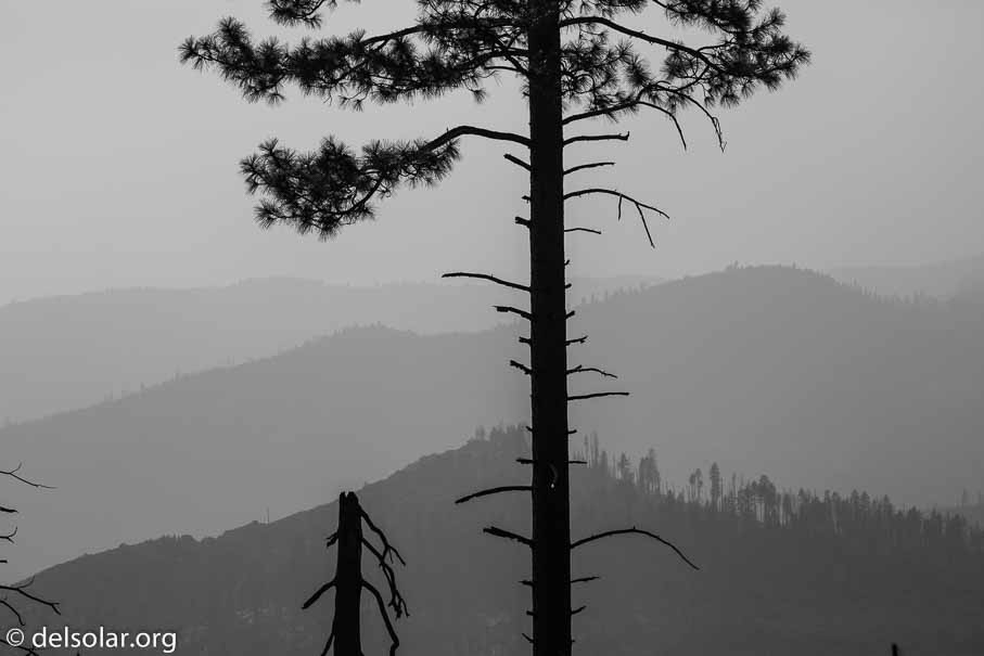 Canon EOS 5D Mark III  --  142 mm  --  EF100-400mm f/4.5-5.6L IS II USM  