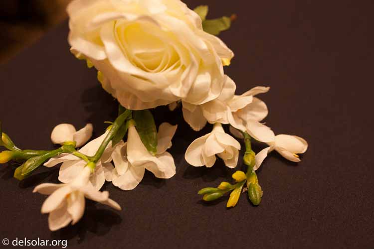 Canon EOS 5D Mark II  --  35 mm  --  35mm  