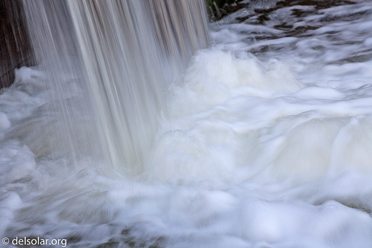 Canon EOS 5D Mark II  --  200 mm  --  EF70-200mm f/4L USM  