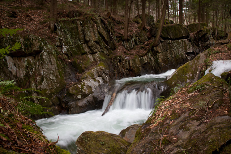 _MG_8195