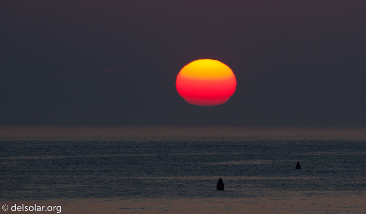 Canon EOS 5D Mark II  --  500 mm  --  EF500mm f/4L IS USM  