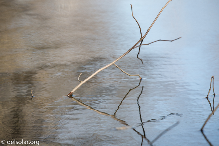 Canon EOS 5D Mark III  --  400 mm  --  EF100-400mm f/4.5-5.6L IS II USM  