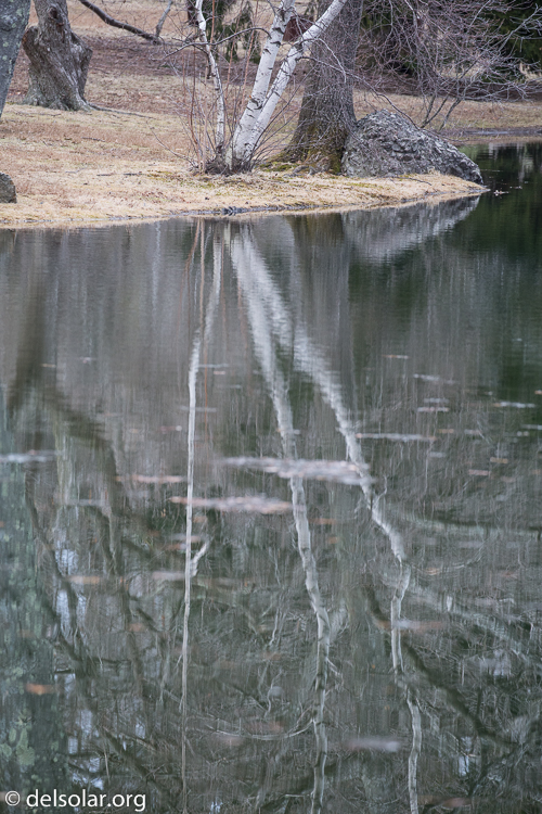 Canon EOS 5D Mark III  --  330 mm  --  EF100-400mm f/4.5-5.6L IS II USM  