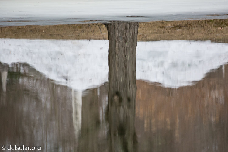 Canon EOS 5D Mark III  --  400 mm  --  EF100-400mm f/4.5-5.6L IS II USM  