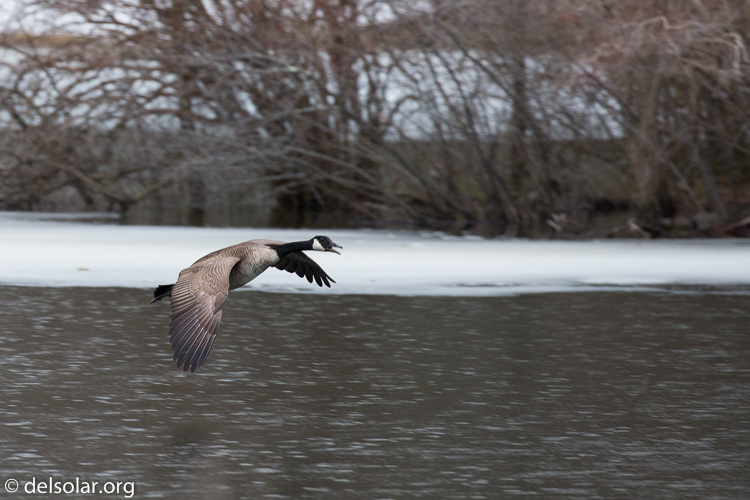 Canon EOS 5D Mark III  --  360 mm  --  EF100-400mm f/4.5-5.6L IS II USM  