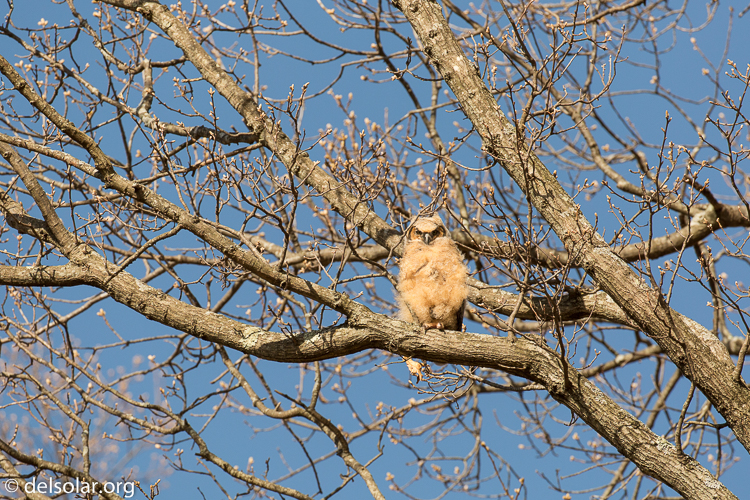 Canon EOS 5D Mark III  --  340 mm  --  EF100-400mm f/4.5-5.6L IS II USM  