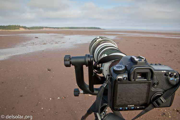 Canon EOS 5D Mark II  --  24 mm  --  24-135mm  