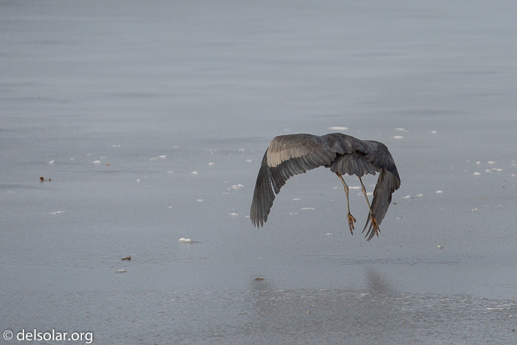 Canon EOS 5D Mark III  --  312 mm  --  EF100-400mm f/4.5-5.6L IS II USM  