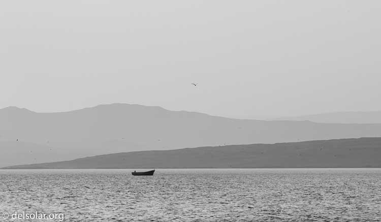 Canon EOS 7D  --  182 mm  --  EF100-400mm f/4.5-5.6L IS II USM  
