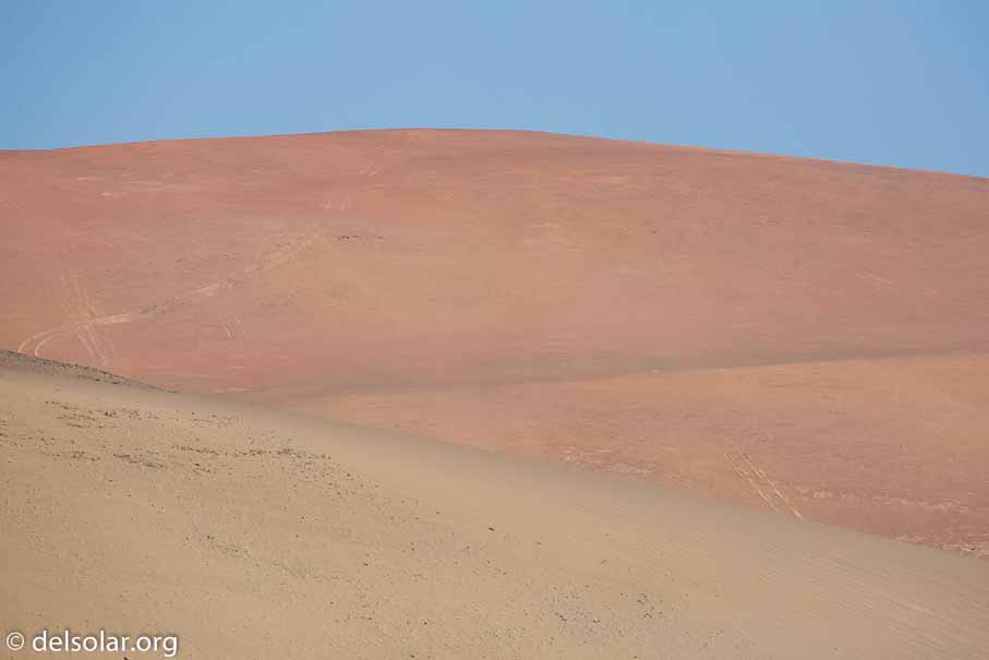 Canon EOS 5D Mark III  --  300 mm  --  EF100-400mm f/4.5-5.6L IS II USM  