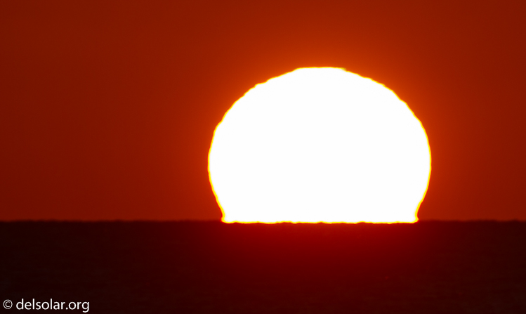 Canon EOS 7D  --  500 mm  --  EF500mm f/4L IS USM  