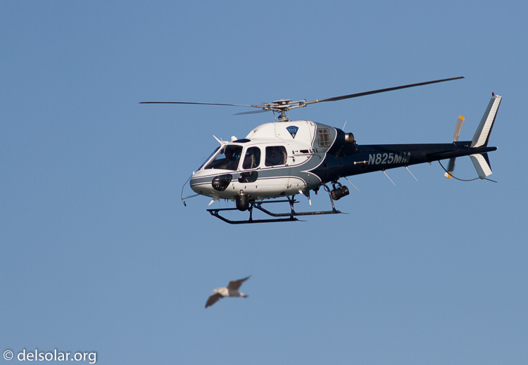 Canon EOS 7D  --  400 mm  --  EF400mm f/5.6L USM  