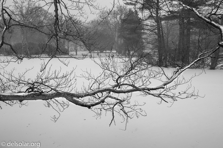 Canon EOS 5D Mark II  --  35 mm  --  35mm  