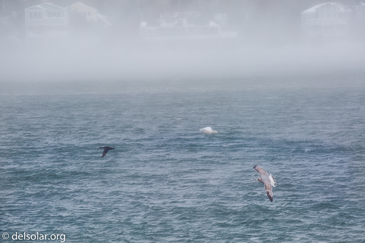 Canon EOS 5D Mark III  --  200 mm  --  EF70-200mm f/4L USM  